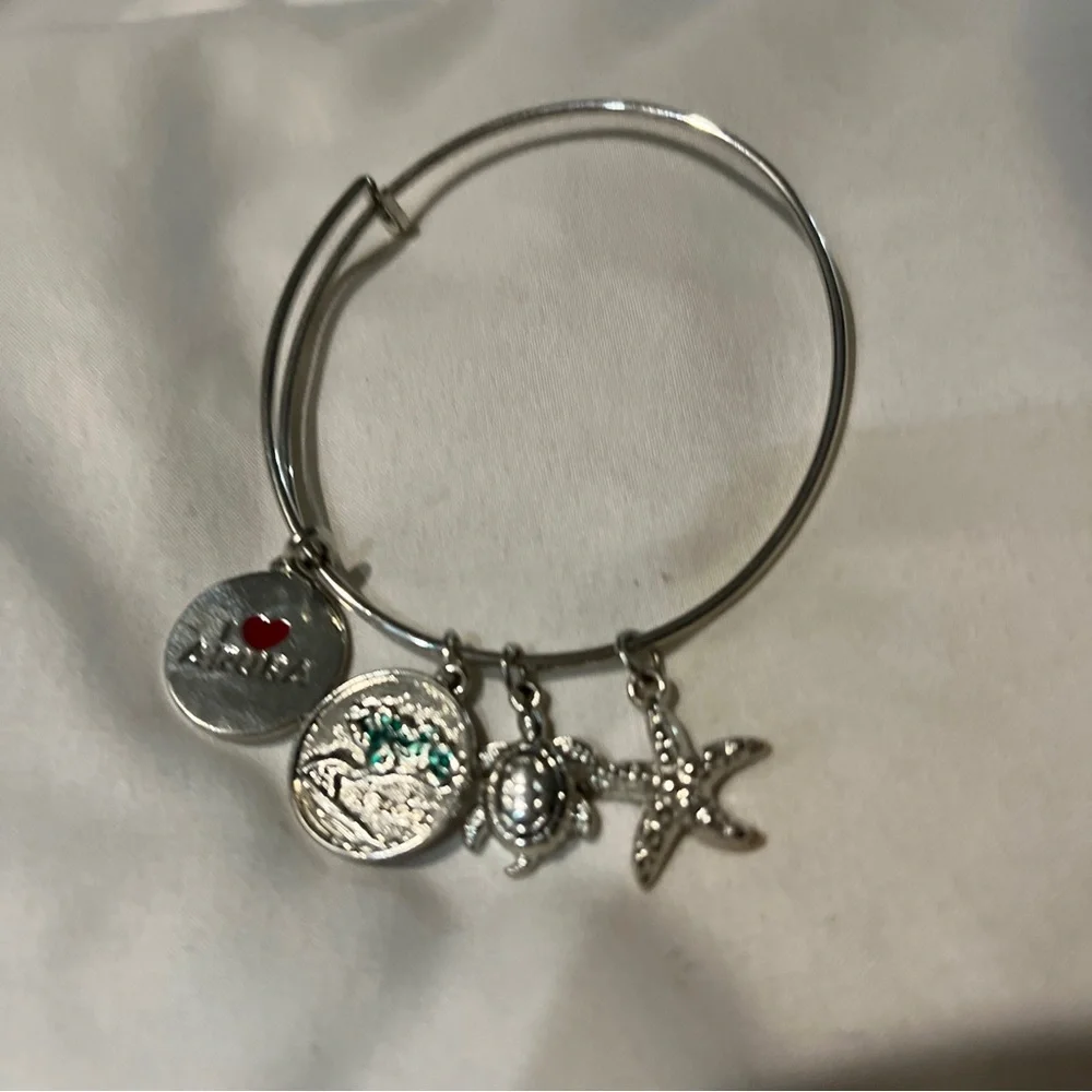 Silver Tone Aruba Charms Expandable Bracelet With Starfish And Turtle Amazing